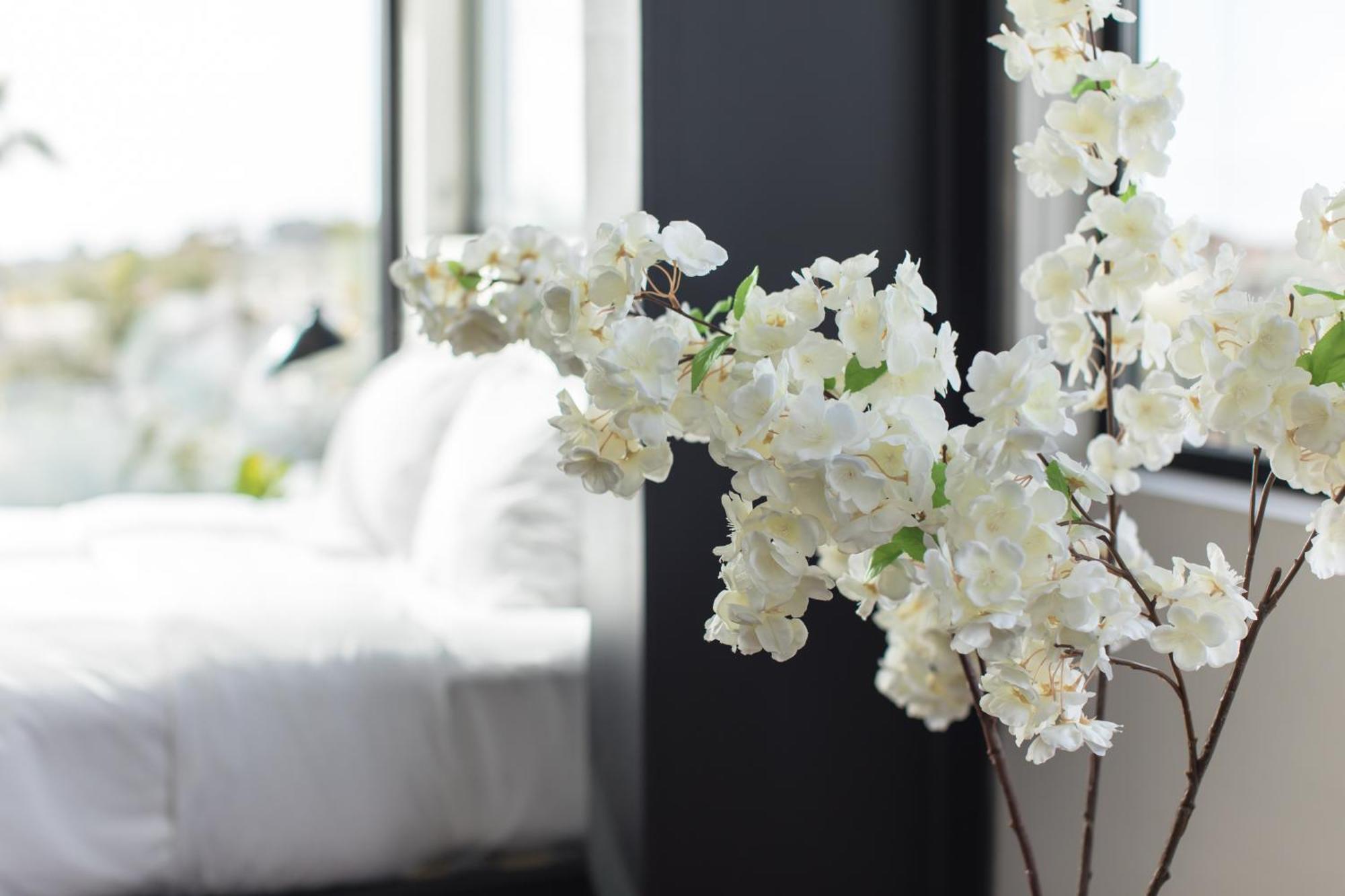 Abpopa Hillcrest Hotel ซานดิเอโก ภายนอก รูปภาพ